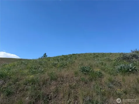 0 Tyee View Loop Waterville WA 98858