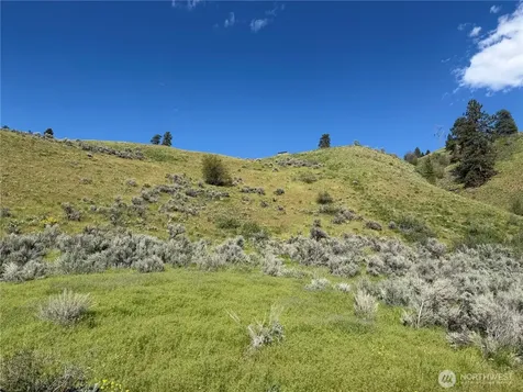 0 Tyee View Loop Waterville WA 98858