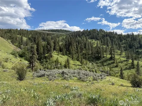 0 Tyee View Loop Waterville WA 98858