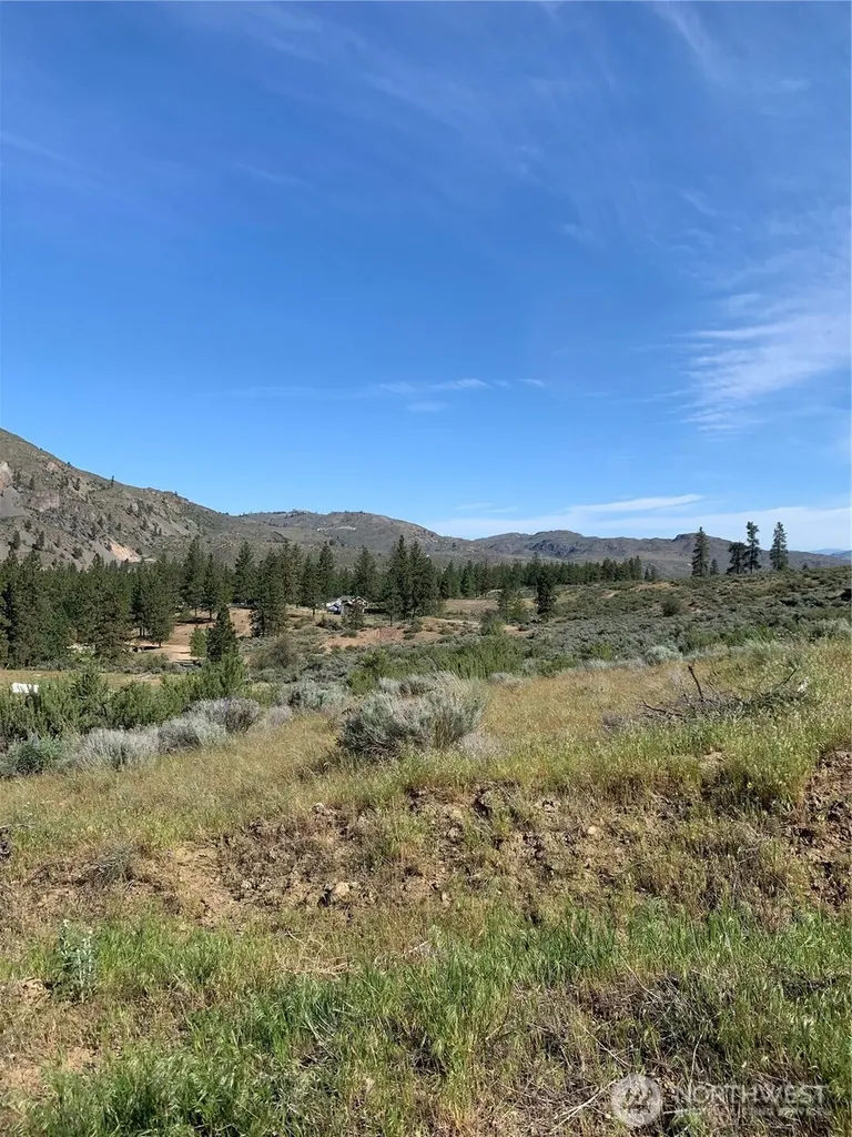 114 Crumbacher Road Tonasket WA 98855