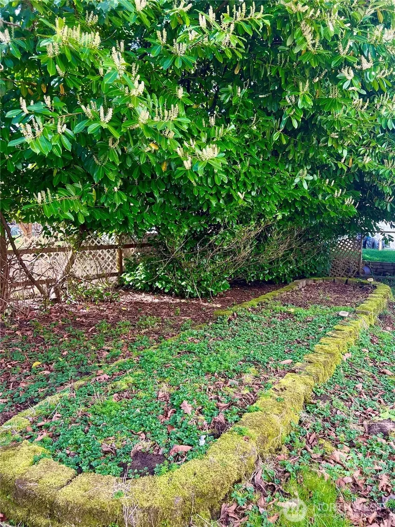 30303 O Place Ocean Park WA 98640