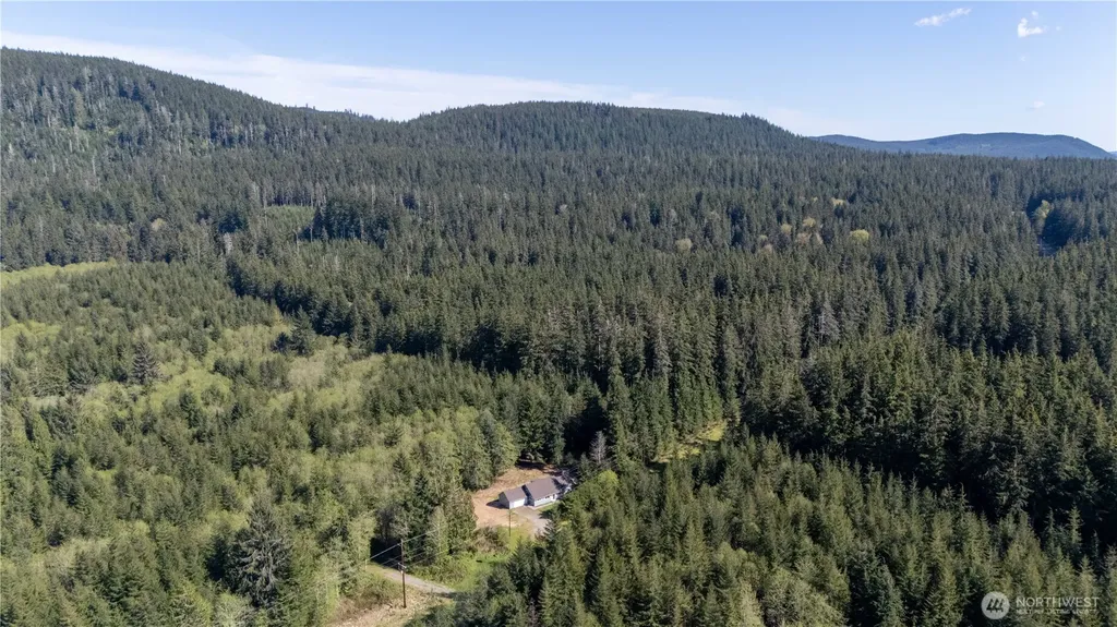 4858 Us Highway 101 Humptulips WA 98552