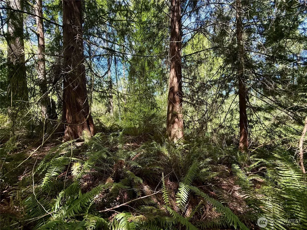 5162 Phillips Road SE Port Orchard WA 98367