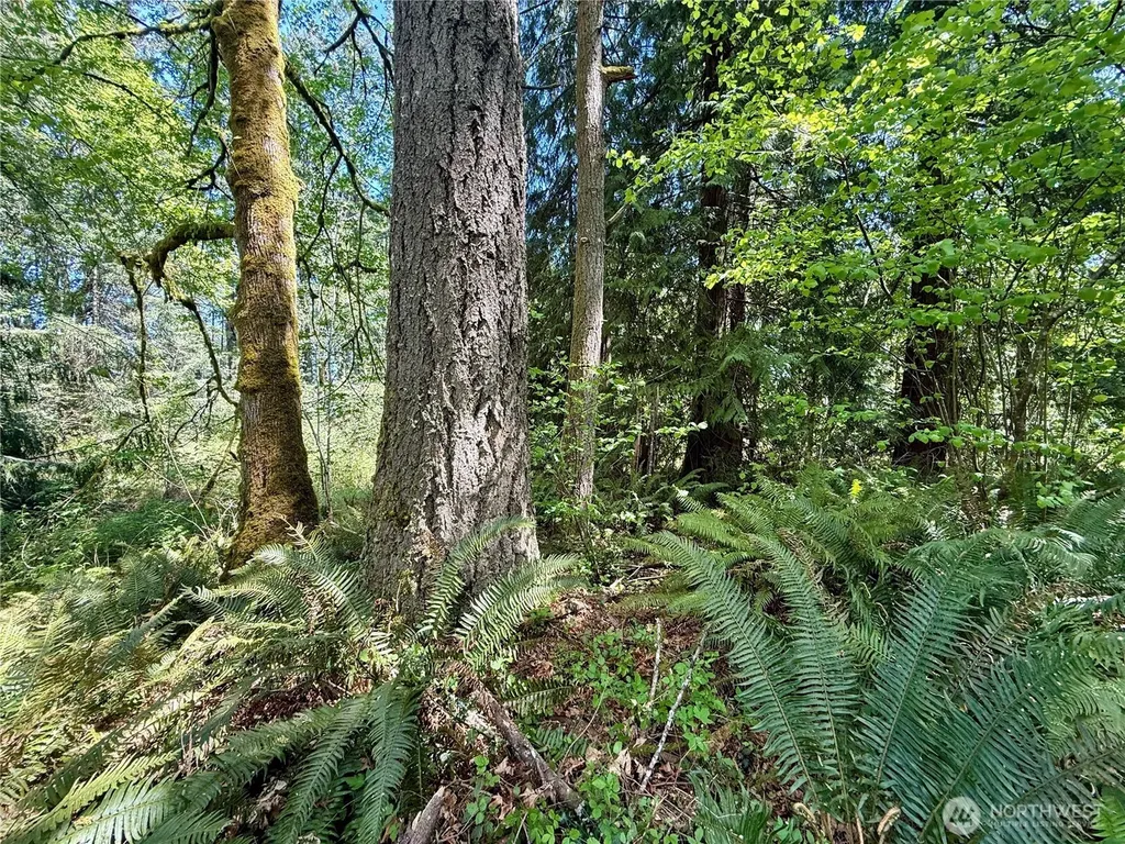 5162 Phillips Road SE Port Orchard WA 98367