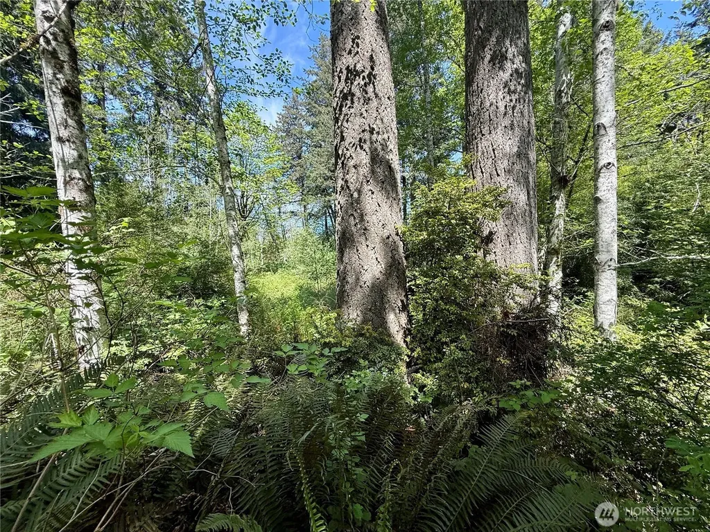 5162 Phillips Road SE Port Orchard WA 98367