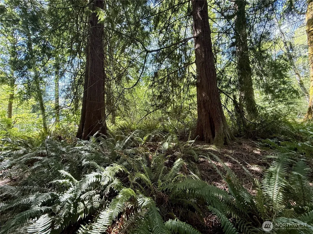 5162 Phillips Road SE Port Orchard WA 98367