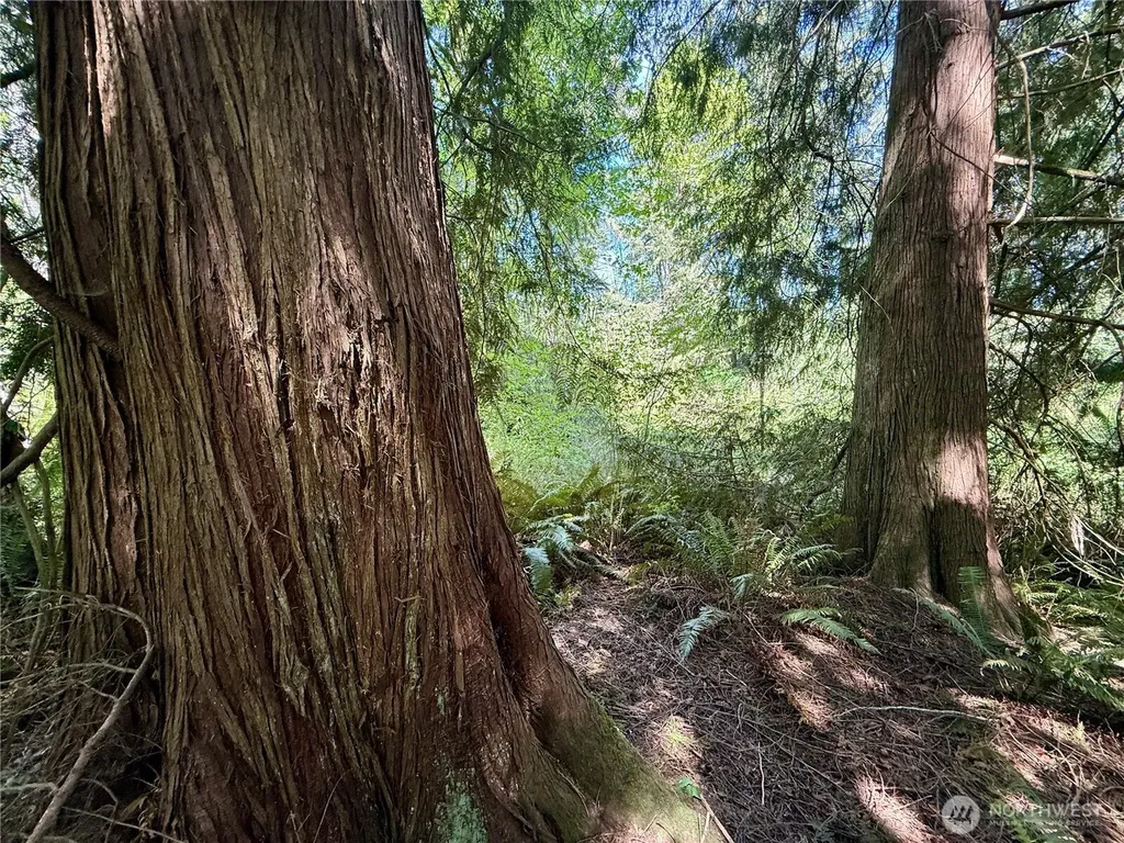 5162 Phillips Road SE Port Orchard WA 98367