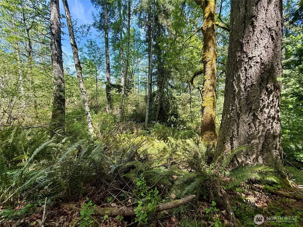 5162 Phillips Road SE Port Orchard WA 98367