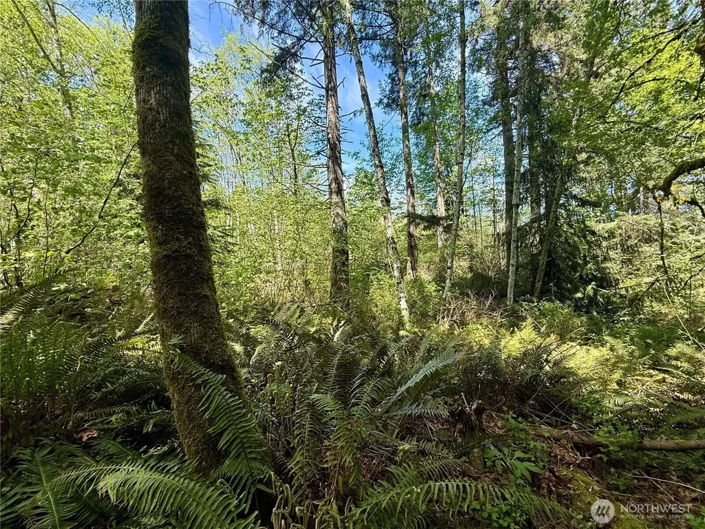 5162 Phillips Road SE Port Orchard WA 98367