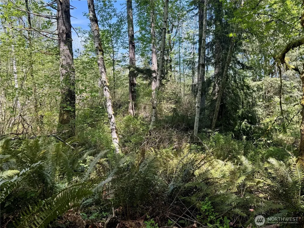 5162 Phillips Road SE Port Orchard WA 98367