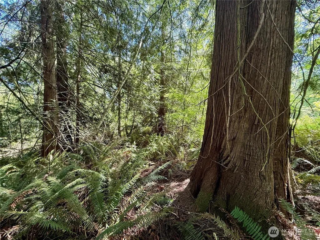 5162 Phillips Road SE Port Orchard WA 98367
