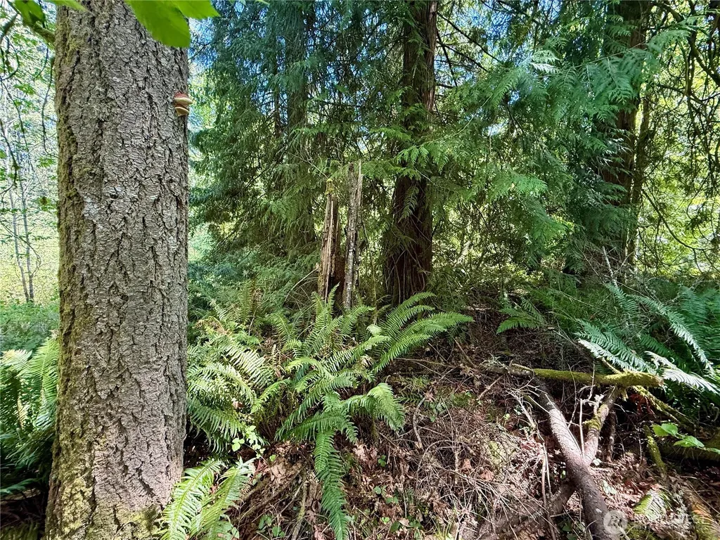 5162 Phillips Road SE Port Orchard WA 98367
