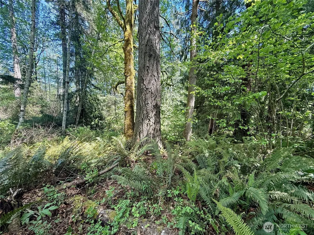 5162 Phillips Road SE Port Orchard WA 98367