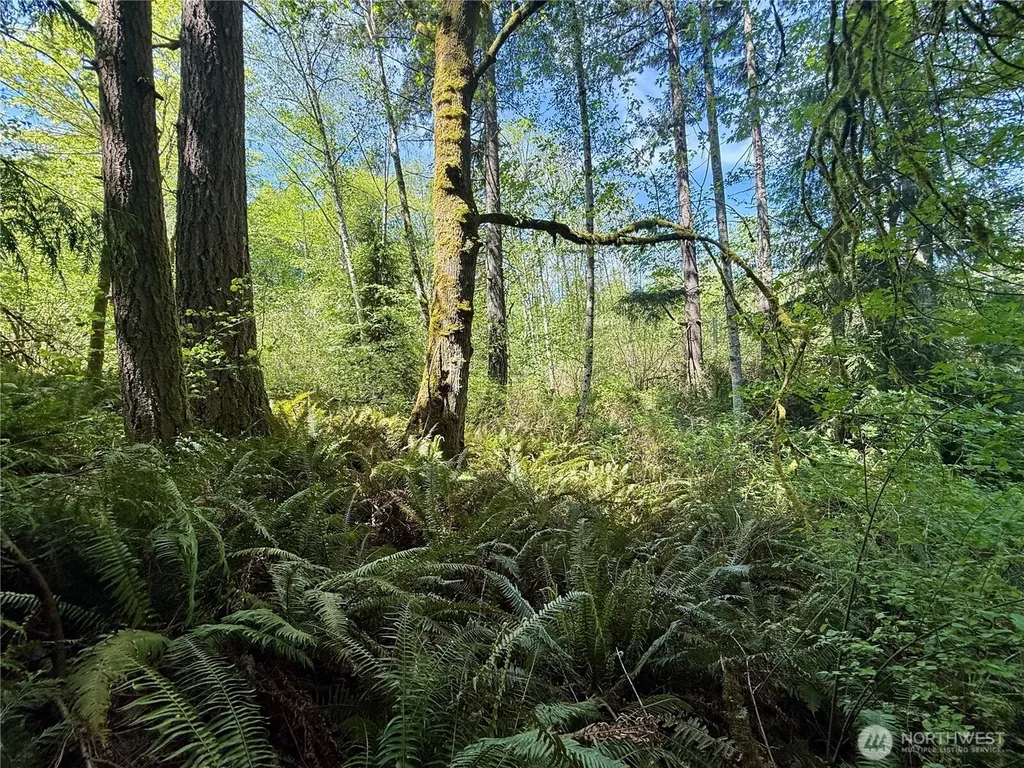 5162 Phillips Road SE Port Orchard WA 98367