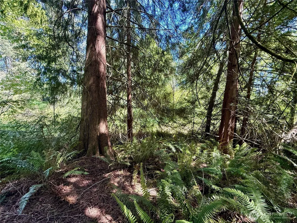 5162 Phillips Road SE Port Orchard WA 98367