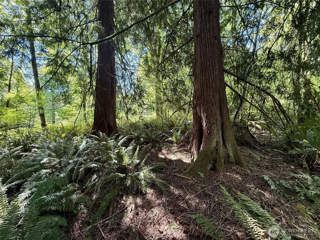 5162 Phillips Road SE Port Orchard WA 98367