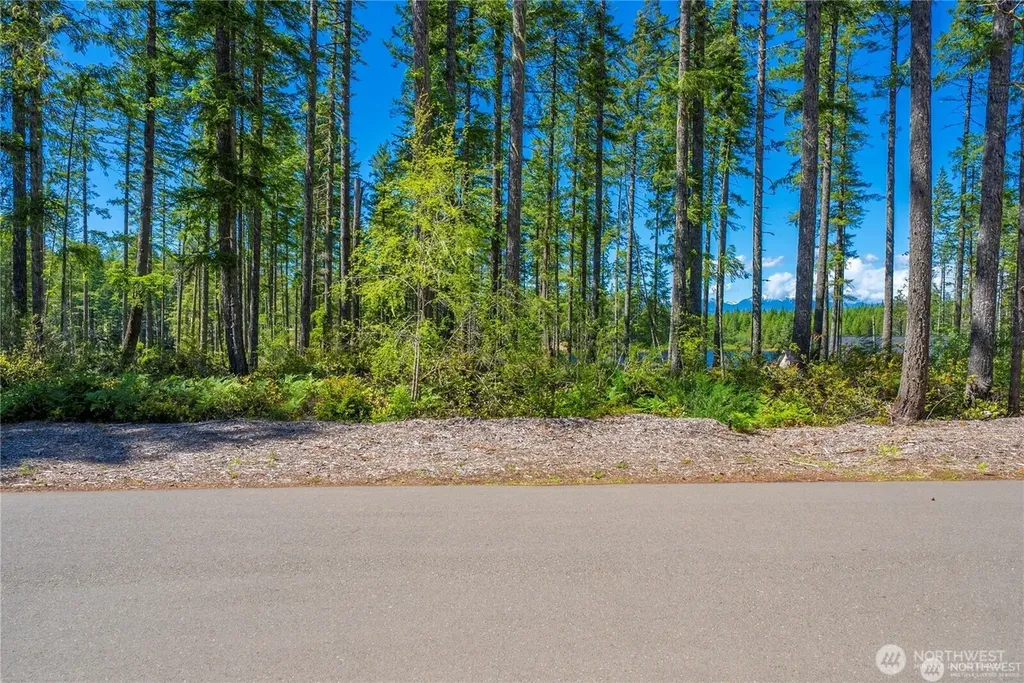 10 W Clear Lake Drive Shelton WA 98584
