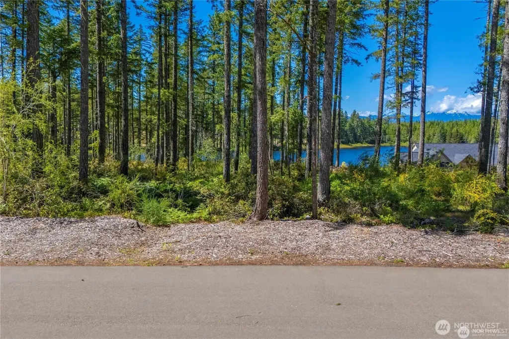 10 W Clear Lake Drive Shelton WA 98584