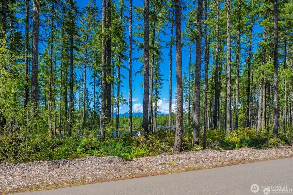 10 W Clear Lake Drive Shelton WA 98584