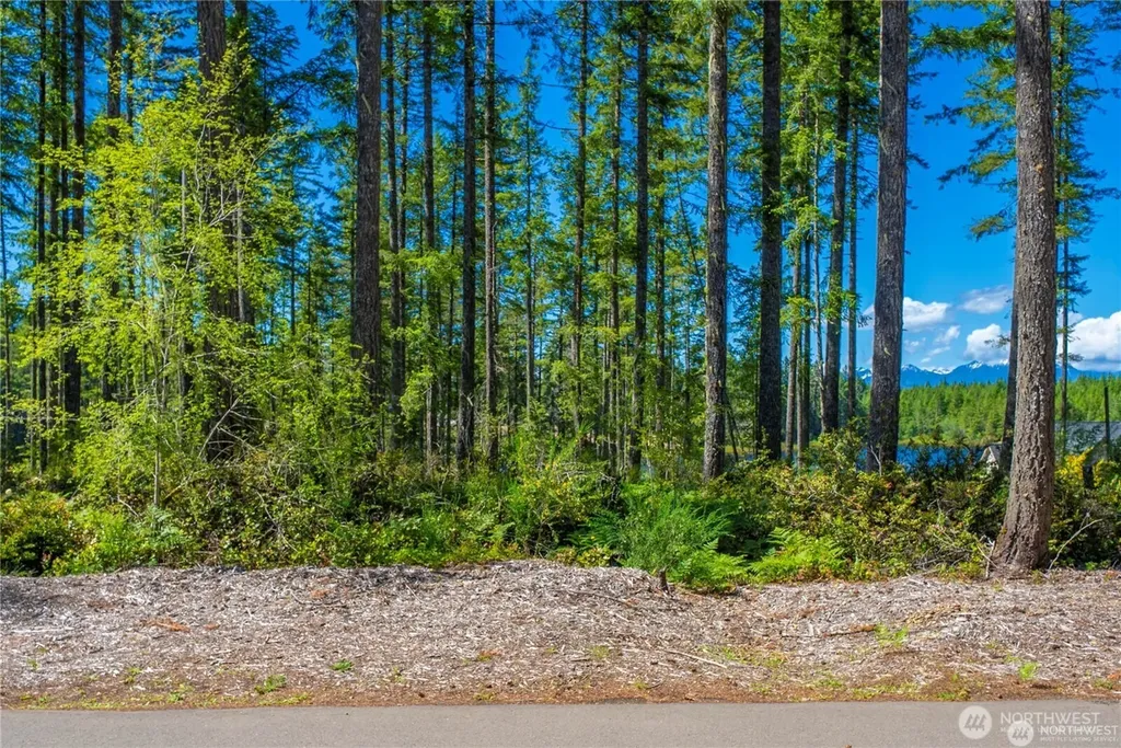 10 W Clear Lake Drive Shelton WA 98584