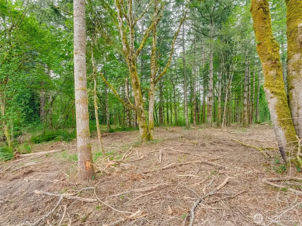 0 NW 314th Circle Ridgefield WA 98642