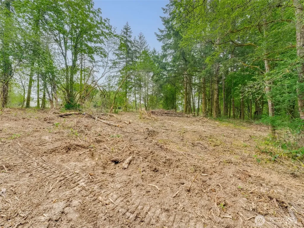 0 NW 314th Circle Ridgefield WA 98642