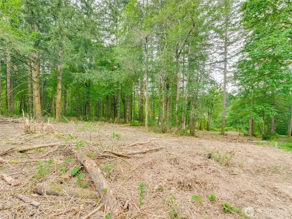 0 NW 314th Circle Ridgefield WA 98642