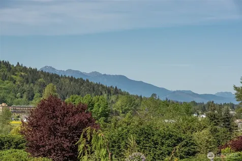 320 Morgison Loop Sequim WA 98382