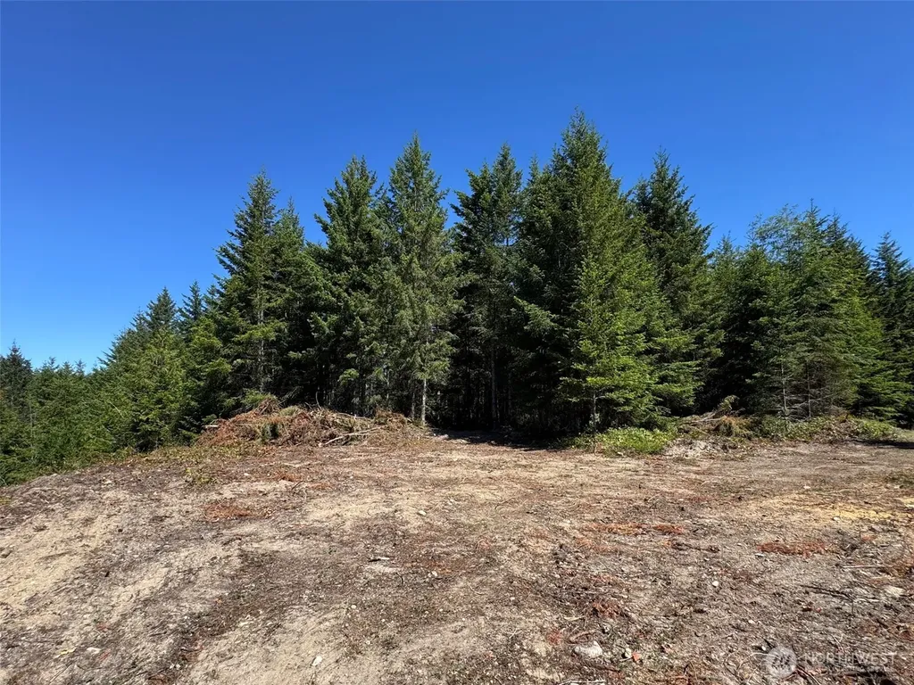 9999 Blue Mountain Road Port Angeles WA 98362