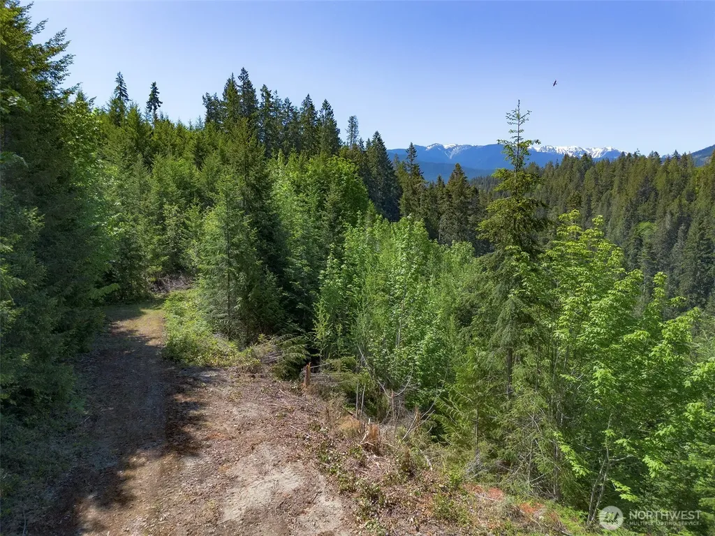 9999 Blue Mountain Road Port Angeles WA 98362