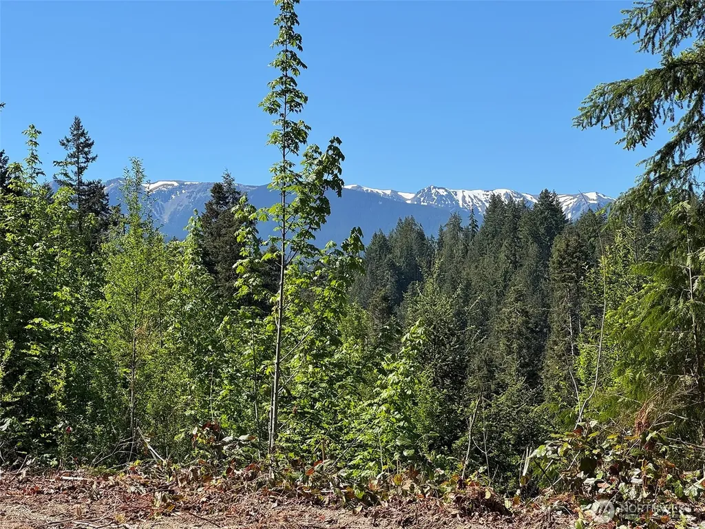 9999 Blue Mountain Road Port Angeles WA 98362