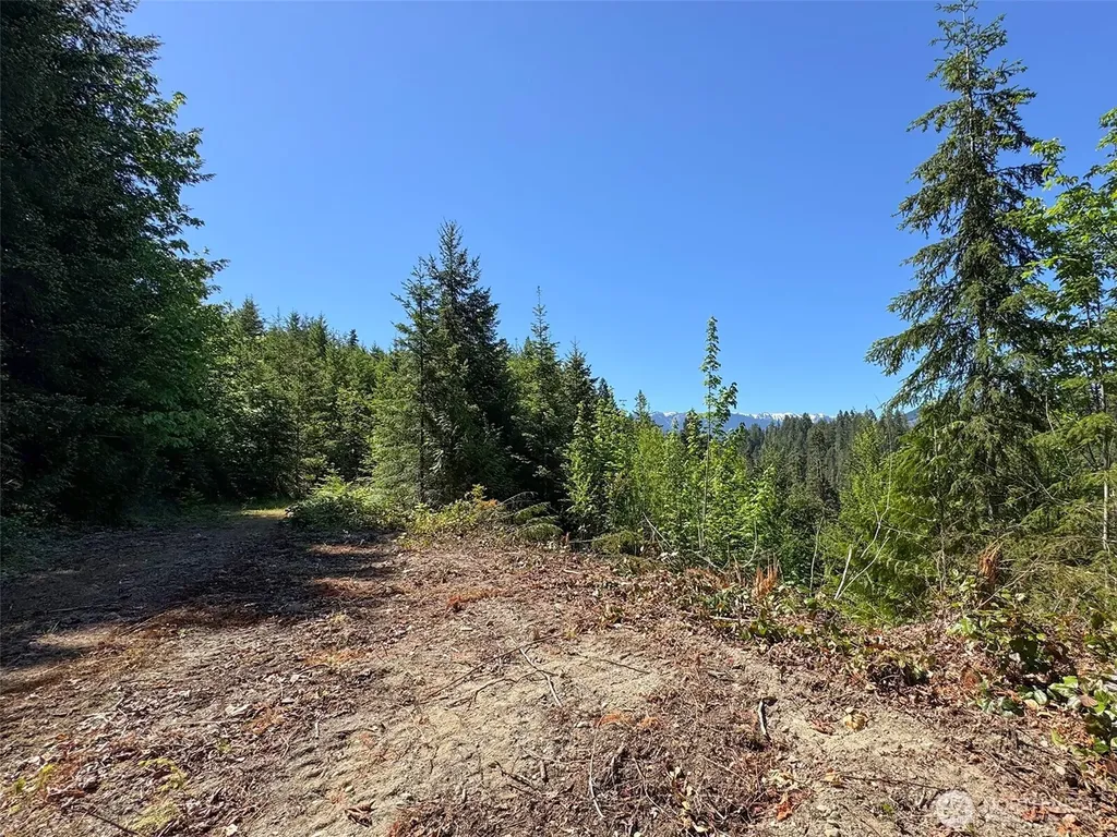 9999 Blue Mountain Road Port Angeles WA 98362