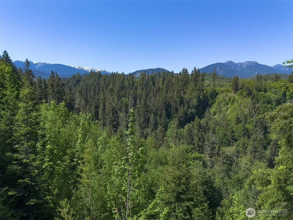 9999 Blue Mountain Road Port Angeles WA 98362