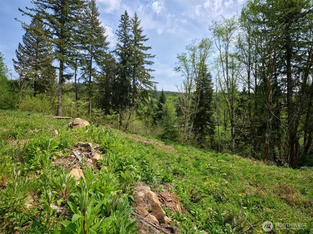 140 Skinner Road Woodland WA 98674