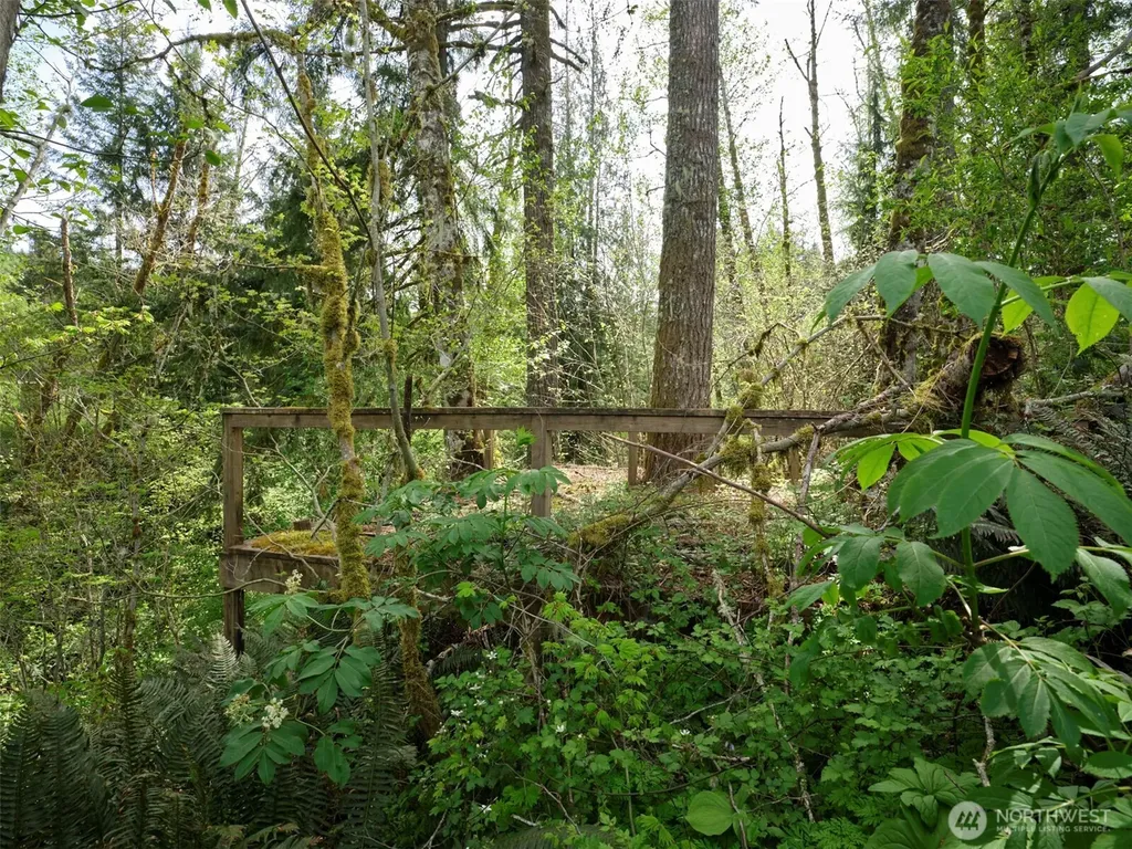 140 Skinner Road Woodland WA 98674