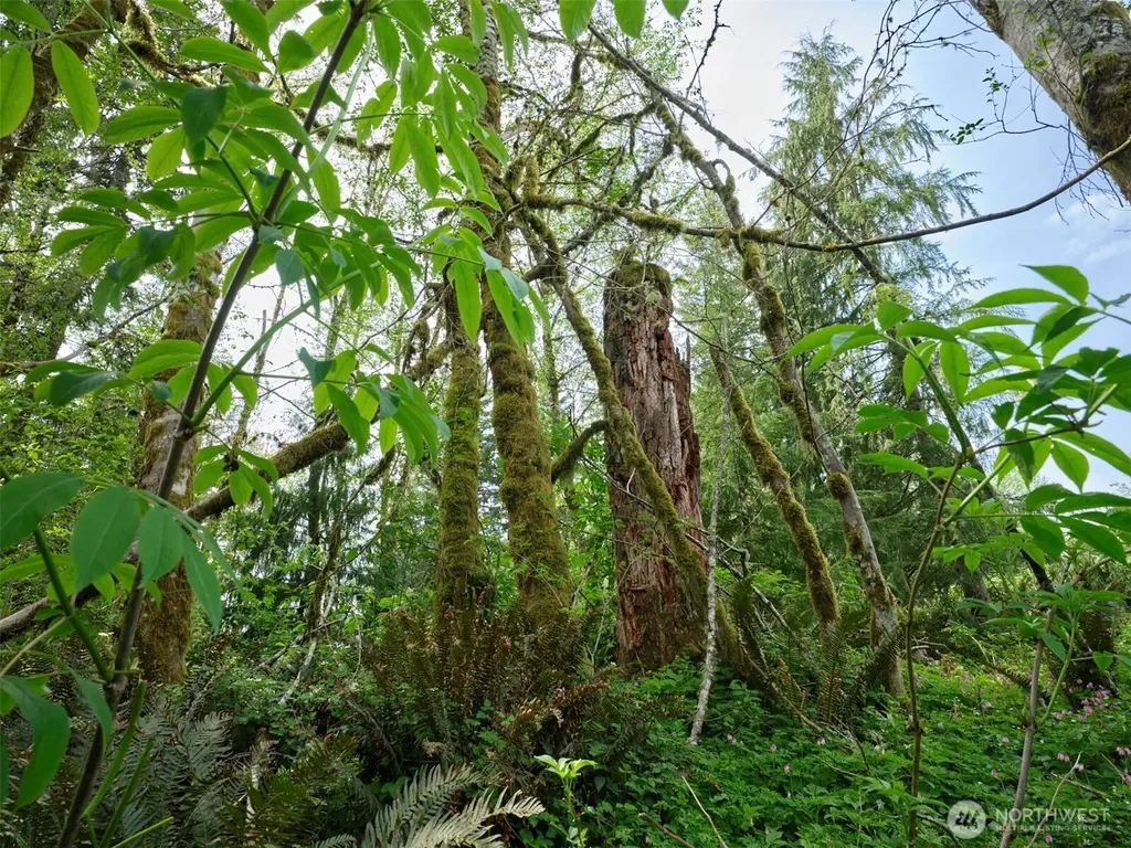 140 Skinner Road Woodland WA 98674