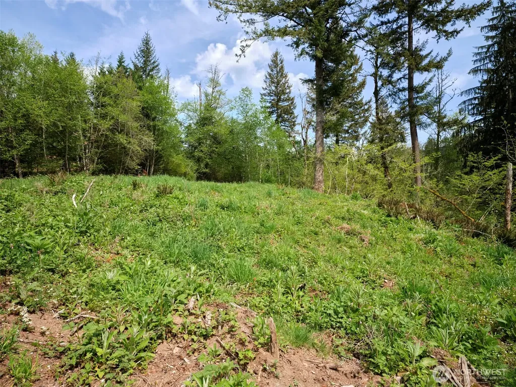 140 Skinner Road Woodland WA 98674