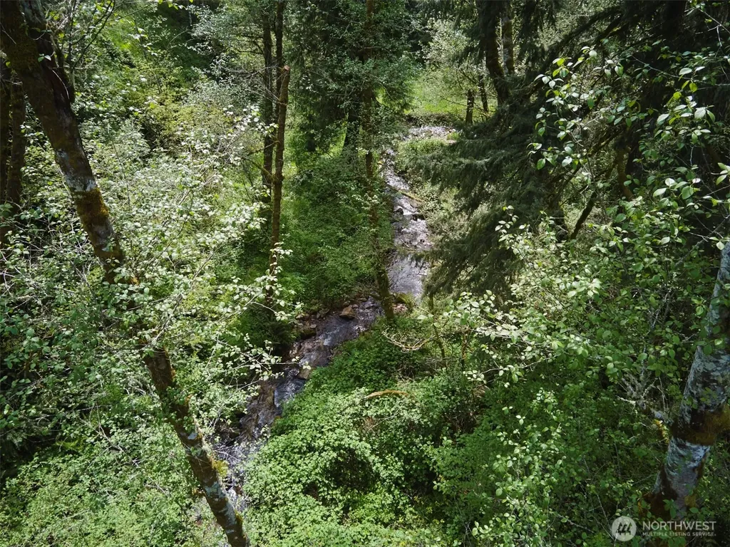 140 Skinner Road Woodland WA 98674