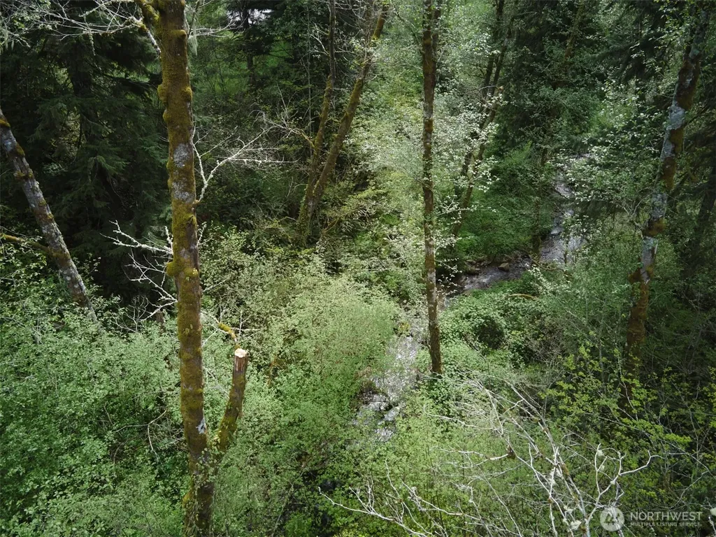 140 Skinner Road Woodland WA 98674