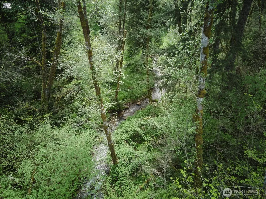 140 Skinner Road Woodland WA 98674