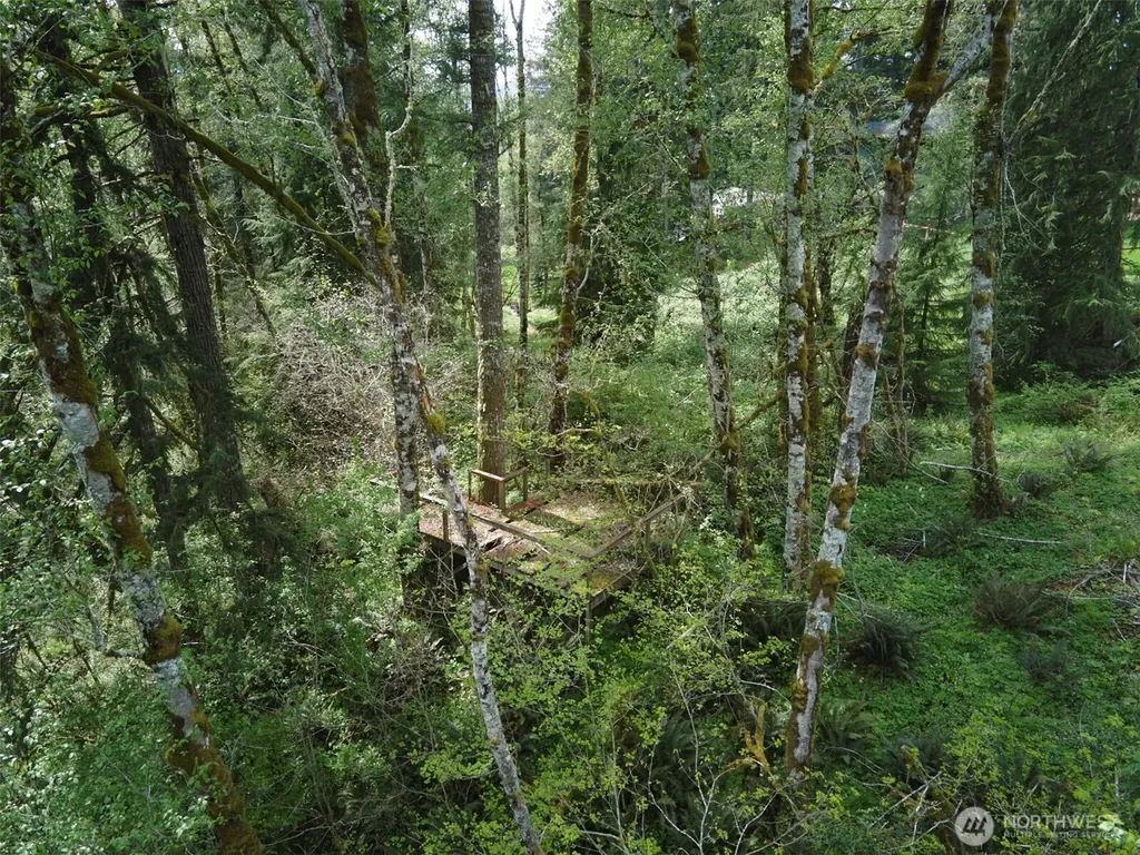 140 Skinner Road Woodland WA 98674