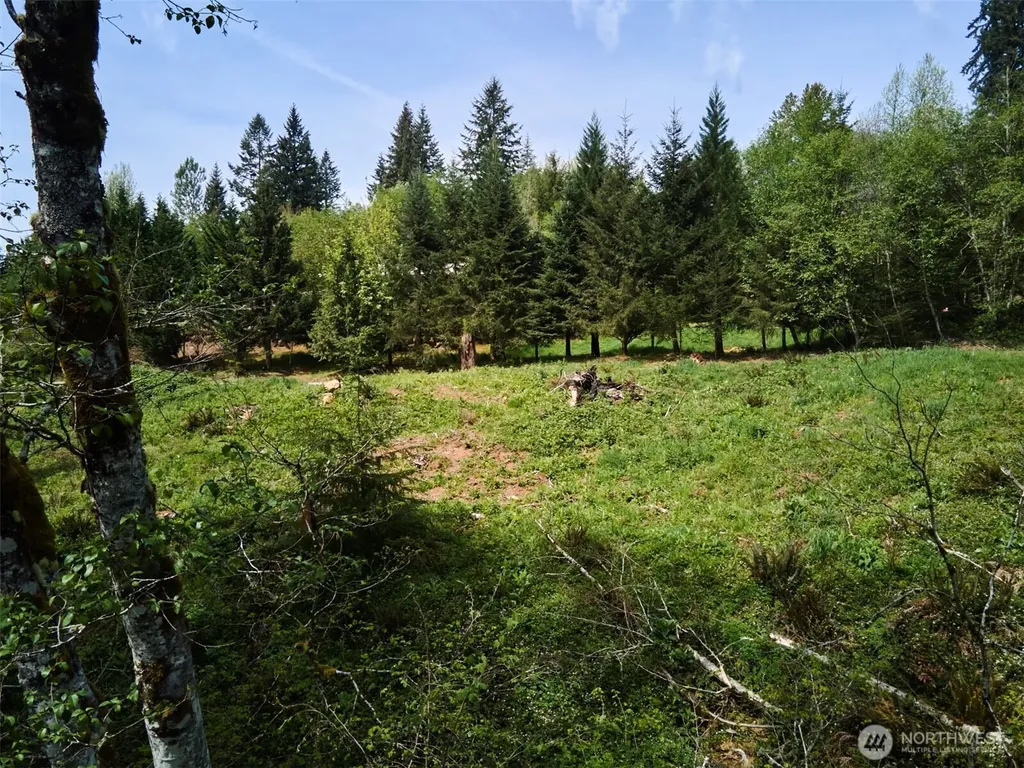 140 Skinner Road Woodland WA 98674