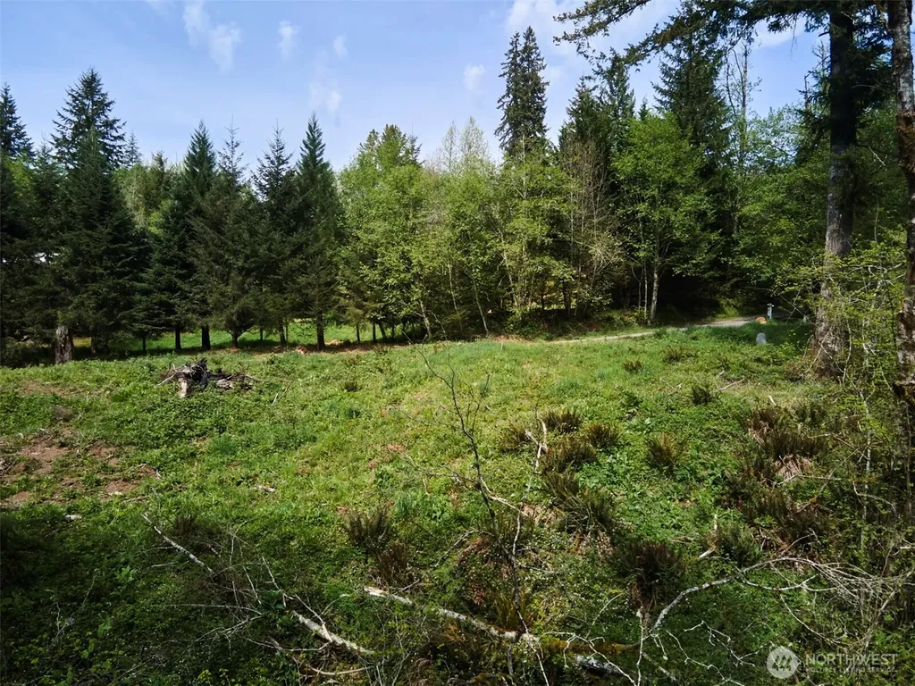 140 Skinner Road Woodland WA 98674