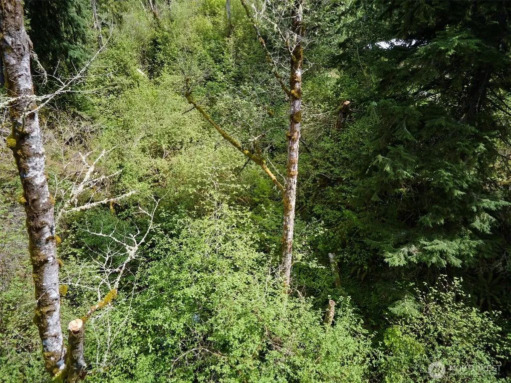 140 Skinner Road Woodland WA 98674