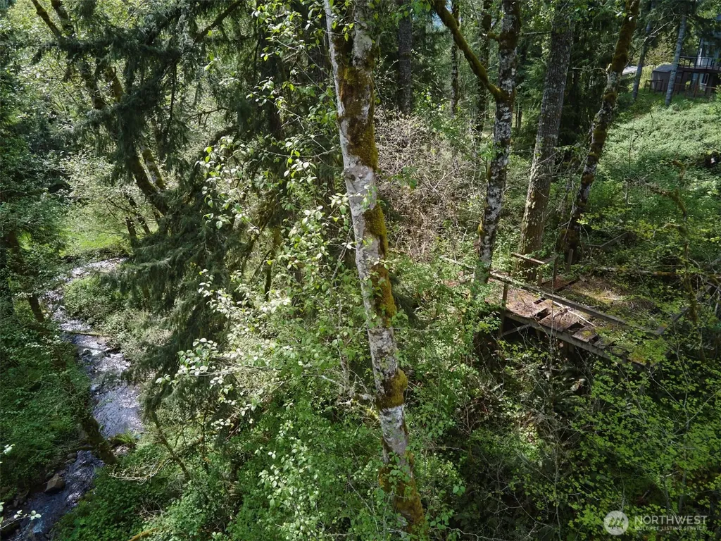 140 Skinner Road Woodland WA 98674