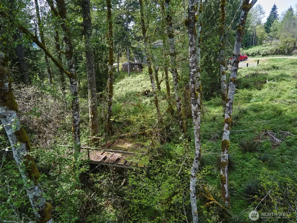 140 Skinner Road Woodland WA 98674