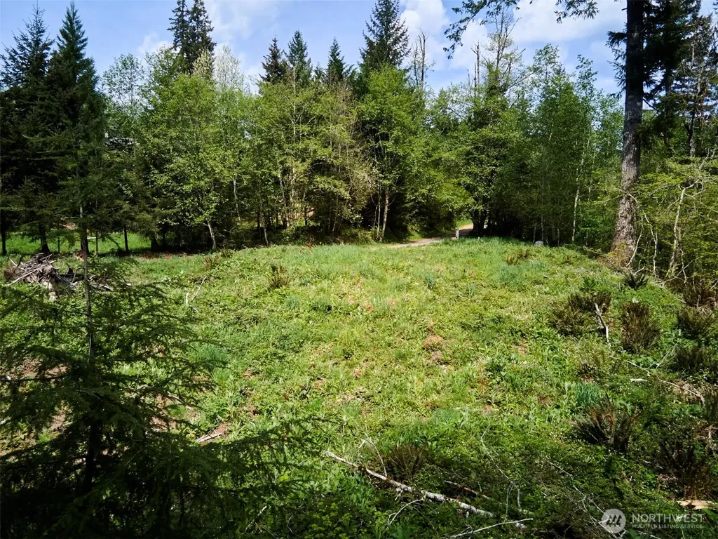 140 Skinner Road Woodland WA 98674