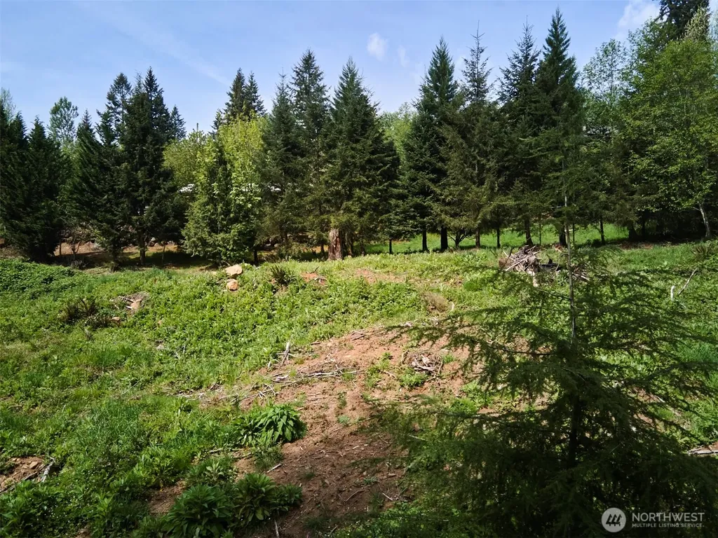 140 Skinner Road Woodland WA 98674