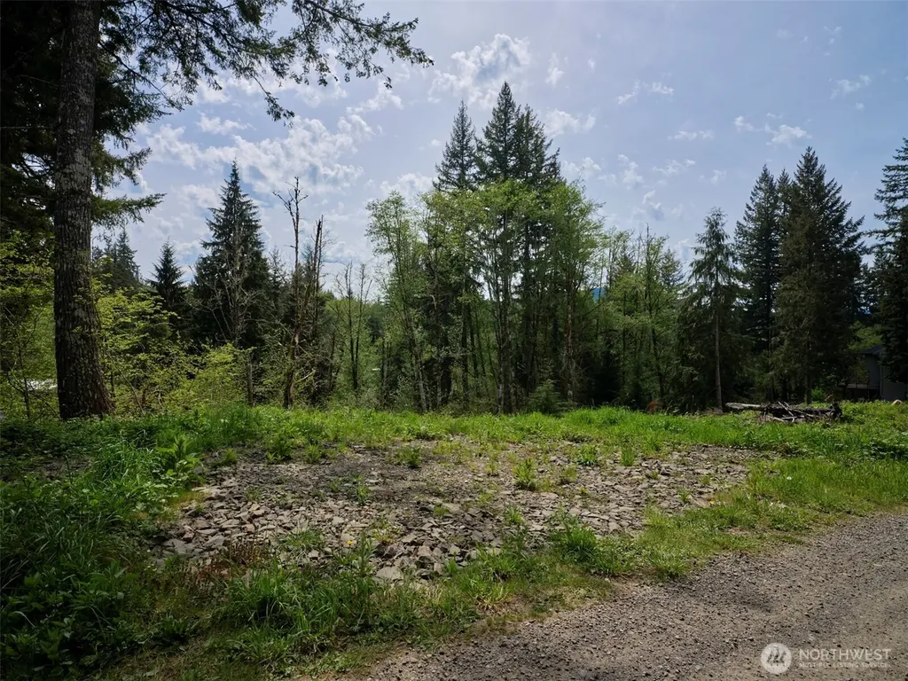 140 Skinner Road Woodland WA 98674