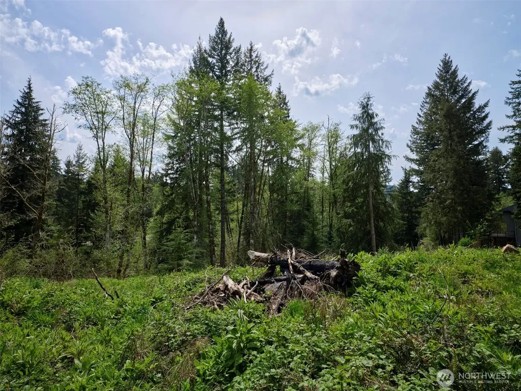 140 Skinner Road Woodland WA 98674